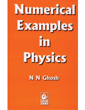Numerical Examples in Physics